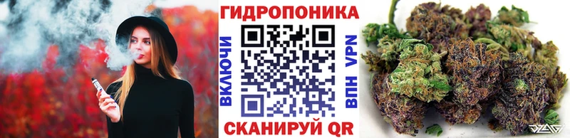 купить  цена  Лихославль  Конопля индика 